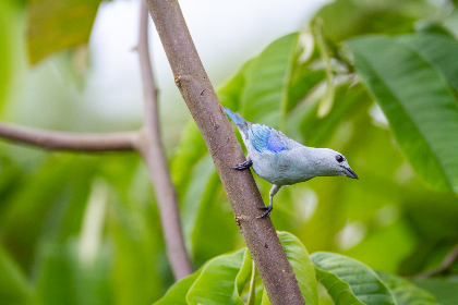 辰龙捕鱼下载电脑版安全性评估及正规下载渠道指引 辰龙捕鱼下载电脑版安全性评估及正规下载渠道指引