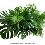 选择 fun88唯一官方网站的理由与常见问题解决策略与官方帮助入口 1biswk