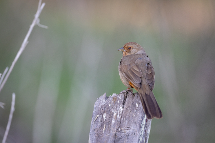 CCTV5在线直播皇家马德里比赛高清观看入口 CCTV5在线直播皇家马德里比赛高清观看入口