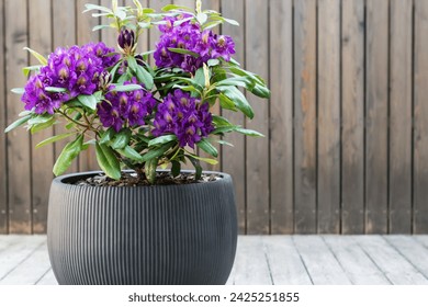 辉煌娱乐平台注册网站：探索全新在线娱乐平台的无限魅力