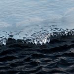 辰龙游戏官方网下载网址使用攻略:常见问题、平台兼容性与风险提醒 kcyw4