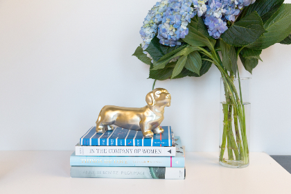 CCTV5在线高清体育赛事直播观看入口