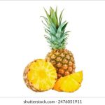 CCTV5手机电视直播:随时随地畅享高清体育赛事 ql4fn4j9pv