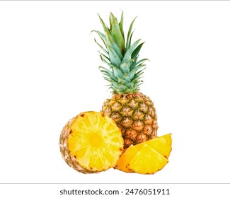 CCTV5手机电视直播：随时随地畅享高清体育赛事