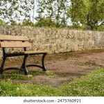 CCTV5在线直播网高清体育赛事免费观看入口 s8randij