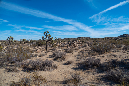 CCTV5总决赛直播：巅峰对决，见证冠军诞生！