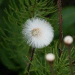 CCTV5在线高清直播:体育赛事畅享无延迟观看体验 wkbzw9qct