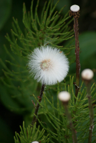 CCTV5在线高清直播：体育赛事畅享无延迟观看体验