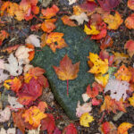 《武林风》现场直播:热血激战,拳脚争锋! dho440p3o