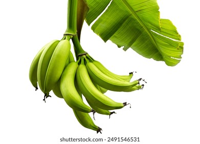 《武林风》今晚震撼直播，巅峰对决热血开打！