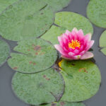 《武林风》最新一期现场直播:热血对决震撼上演 rv42jnb2h